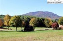 Beautiful, level lot in Jefferson Landing with mountain views - for sale in Jefferson North Carolina Ashe County County on GolfHomes.com