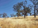 Nice gently tapered lot with a view of the local Golf Course for sale in La Grange California Mariposa County County on GolfHomes.com