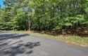 Beautiful Lot on the East End of Hot Springs Village! This lot for sale in Hot Springs Village Arkansas Saline County County on GolfHomes.com