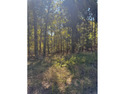 Beautiful wooded lot located in the Diamondhead Community. The for sale in Malvern Arkansas Garland County County on GolfHomes.com
