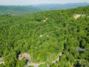 Escape to the beauty of the mountains in NC with this exquisite for sale in Hendersonville North Carolina Henderson County County on GolfHomes.com