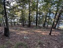 Beautiful Lake Front Lot on Greers Ferry!  Build your dream lake for sale in Drasco Arkansas Cleburne County County on GolfHomes.com