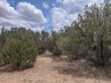 10 Acres to Build Your Dream Home!  Lot is very level. Heavily for sale in Show Low Arizona Navajo County County on GolfHomes.com