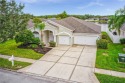 You will truly feel like you've just *struck gold* the minute for sale in Wesley Chapel Florida Pasco County County on GolfHomes.com
