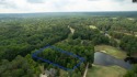 Beautiful wooded 1.40 acre lot in Blythewood. No HOA, and lot for sale in Blythewood South Carolina Richland County County on GolfHomes.com