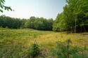 Gorgeous acreage! 5.06 acres of prime Onekama property just off, Michigan