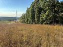 This beautiful 40 acres nestled in the hills of Cleburne County for sale in Drasco Arkansas Cleburne County County on GolfHomes.com