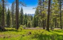 Mountain Estate lots in Jug Mountain Ranch. New homesites in for sale in Mccall Idaho Valley County County on GolfHomes.com