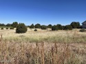 Big corner lot (.43 acres) on a fully paved and maintained for sale in Show Low Arizona Navajo County County on GolfHomes.com