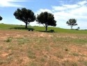 GOLF COURSE PATIO HOME SITE ON 9TH FAIRWAY-SHORT WALK TO for sale in Abilene Texas Taylor County County on GolfHomes.com