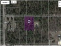 Beautiful, peaceful, oversized 1.48 ACRE lot to build your DREAM for sale in Dunnellon Florida Marion County County on GolfHomes.com