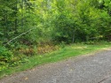 8 Beautiful Acres with potiental for great views! Recreational for sale in Dyer Brook Maine Aroostook County County on GolfHomes.com