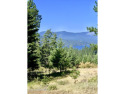 This lot at Gozzer Ranch Golf and Lake Club is over an acre with for sale in Harrison Idaho Kootenai County County on GolfHomes.com