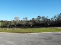 Double lot on the golf course in the Island Woods sub-division! for sale in Gulf Shores Alabama Baldwin County County on GolfHomes.com