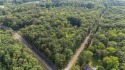  Ad# 6293433 golf course property for sale on GolfHomes.com