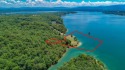 ABSOLUTELY STUNNING! 9 ACRES ON MAIN CHANNEL DOUGLAS LAKE W/OVER for sale in Baneberry Tennessee Jefferson County County on GolfHomes.com