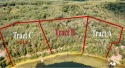Build your dream lake home on the North Shore of Eagle Lake on for sale in Fifty Lakes Minnesota Crow Wing County County on GolfHomes.com