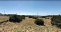 0.34 acre lot located in Concho Valley. Residential neighborhood for sale in Concho Arizona Apache County County on GolfHomes.com