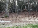 This fabulous golf course lot is situated at the end of the for sale in Southport North Carolina Brunswick County County on GolfHomes.com