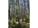 Beautiful lot with mature trees on a quiet cul-de-sac. While the for sale in Daufuskie Island South Carolina Beaufort County County on GolfHomes.com