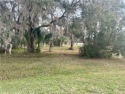 Absolutely beautiful lot located at Oak Grove Island.  Hole 13 for sale in Brunswick Georgia Glynn County County on GolfHomes.com