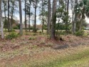 Absolutely beautiful lot located at Oak Grove Island.  Hole 11 for sale in Brunswick Georgia Glynn County County on GolfHomes.com
