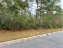 Absolutely beautiful lot located at Oak Grove Island.  Hole 2 for sale in Brunswick Georgia Glynn County County on GolfHomes.com