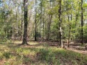 Awesome acreage close to Broadway Lake. Very private lot that for sale in Anderson South Carolina Anderson County County on GolfHomes.com
