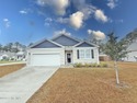 Welcome to 1610 Lightered Knot Court SE, a beautifully upgraded for sale in Bolivia North Carolina Brunswick County County on GolfHomes.com