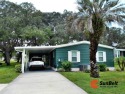 Rolling Greens Village is a friendly resort-style 55+ community for sale in Ocala Florida Marion County County on GolfHomes.com