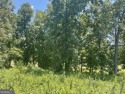 Location, water, view and golf! You deserve it all! Get your for sale in Hawkinsville Georgia Pulaski County County on GolfHomes.com