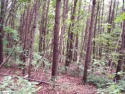 Wooded building lot in Gauley Falls. Next to the Rock at, South Carolina