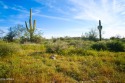 STUNNING SUPERSTITION MOUNTAIN VIEWS FROM THIS PREMIUM 5 ACRE for sale in Gold Canyon Arizona Pinal County County on GolfHomes.com