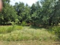Great lot in White Bluff for your dream home. Nestled Close to, Texas