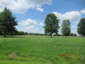 Ready to build! Also available for a NEW Double Wide/ for sale in Troy Tennessee Obion County County on GolfHomes.com