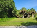 This beautiful 1/2-acre lot is cleared, with some palm trees and for sale in L EH IG H  AC RE S Florida Lee County County on GolfHomes.com