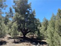 This slightly sloping beautifully treed lot in Pine Mountain for sale in Pine Mountain Club California Kern County County on GolfHomes.com