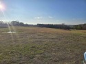 This is a prime piece of property with all kinds of potential for sale in Fairfield Bay Arkansas Van Buren County County on GolfHomes.com
