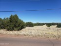 Awesome opportunity, Zoned Residential and Commercial lot all on for sale in Show Low Arizona Navajo County County on GolfHomes.com