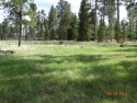  Ad# 6243098 golf course property for sale on GolfHomes.com