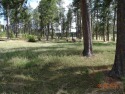  Ad# 6243098 golf course property for sale on GolfHomes.com
