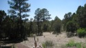 Perfect lot for building that custom dream home or summer for sale in Overgaard Arizona Navajo County County on GolfHomes.com