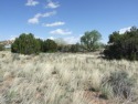 Great building lot in Frontier Estates. Great neighborhood and for sale in Snowflake Arizona Navajo County County on GolfHomes.com