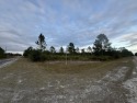 This 0.55-acre vacant lot in Indian Lake Estates offers the for sale in Indian Lake Estates Florida Polk County County on GolfHomes.com