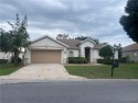Welcome to your dream home in one of Summerfield's most for sale in Summerfield Florida Marion County County on GolfHomes.com