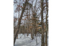 Nicely wooded lot (Lots 57 & 58 combined) now available in the for sale in Danbury Wisconsin Burnett County County on GolfHomes.com
