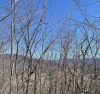 Lots located in Mountain Harbour, a gated community offering an for sale in Hayesville North Carolina Clay County County on GolfHomes.com