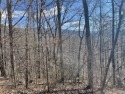 Lot in Mountain Harbour. Mountain Harbour is a gated community for sale in Hayesville North Carolina Clay County County on GolfHomes.com