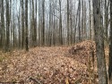 READY TO BUILD, PRIVATE! -just add septic- 2 acre parcel outside for sale in Morgantown West Virginia Monongalia County County on GolfHomes.com