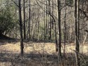 GENTLE LOT IN GATED GOLF COURSE COMMUNITY IN THE MOUNTAINS OF for sale in Hayesville North Carolina Clay County County on GolfHomes.com